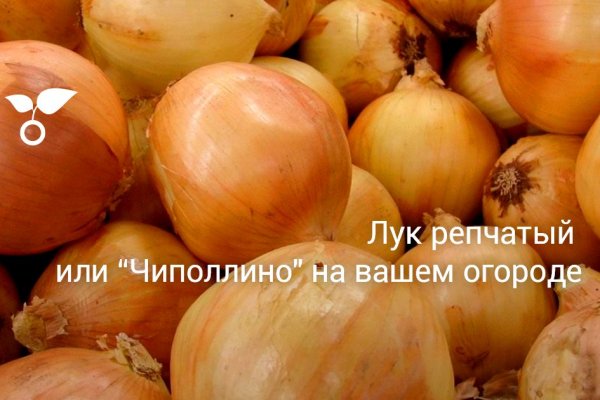 Kraken istand onion