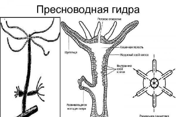 Кракен даркнет сайт